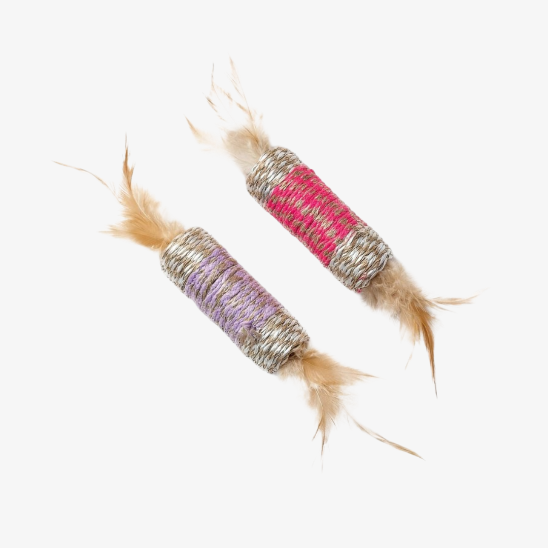 Juguete masticador Plumas