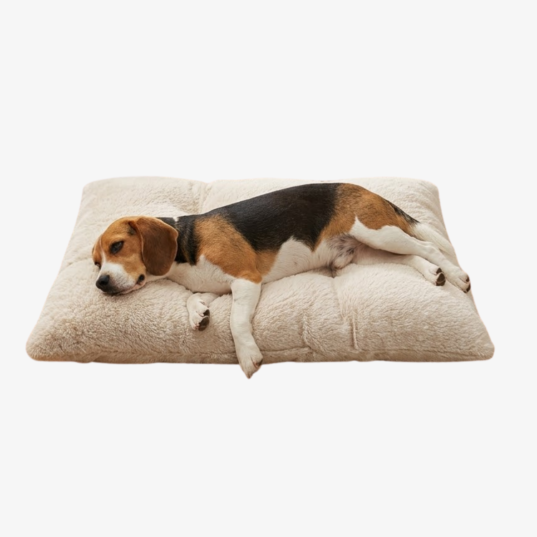 Cama para Perros Medianos 60x90 cm