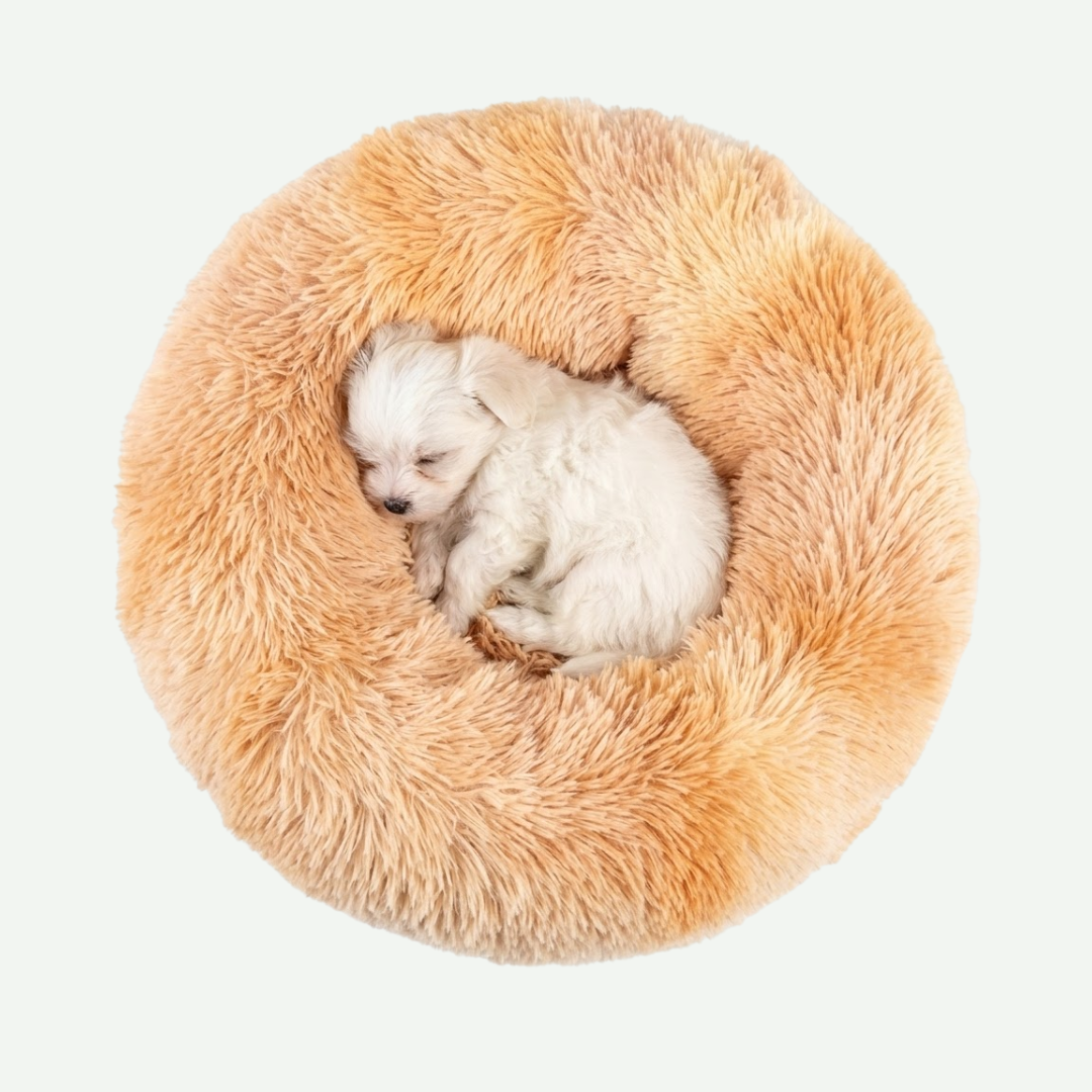 Cama Nido para mascotas