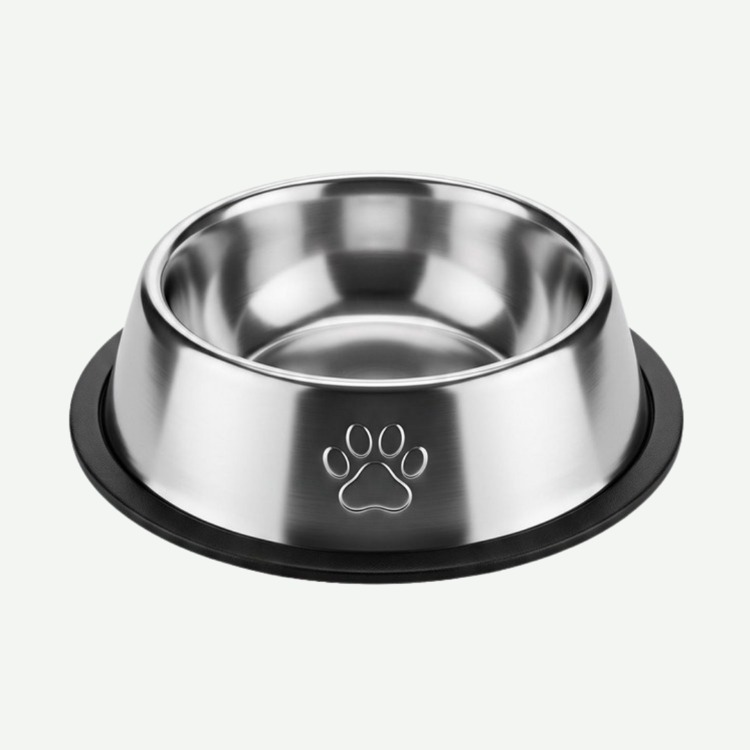 Plato de acero inoxidable Paw