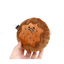 Peluche Cookie con sonido