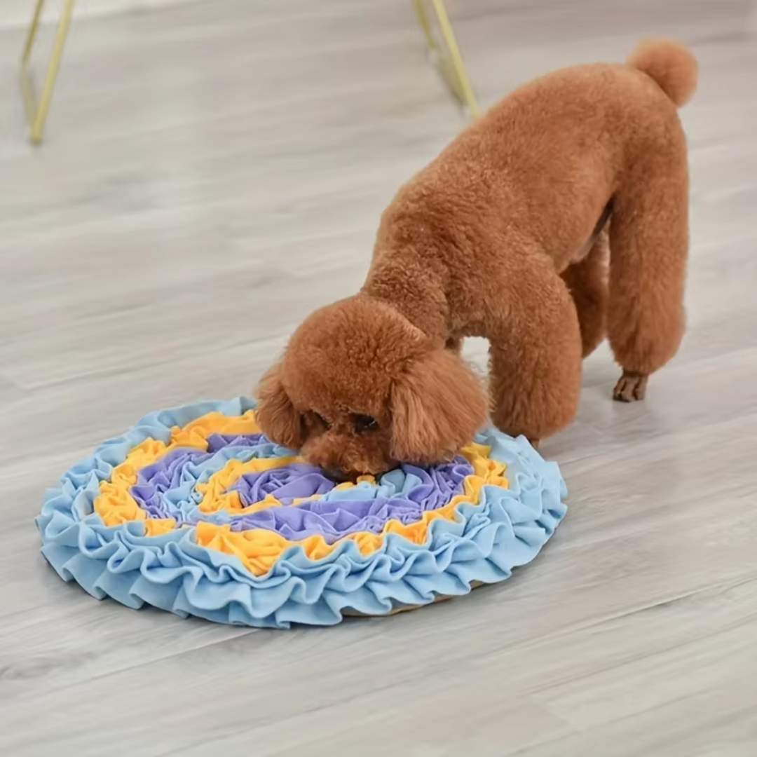 Alfombra Olfativa para Perros cuadrada - Antiestrés