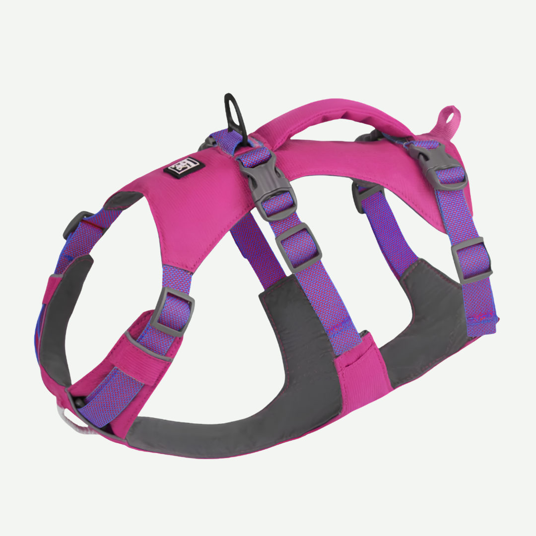 Arnés Antiescape y Antitirón ergonómico - Nunbell