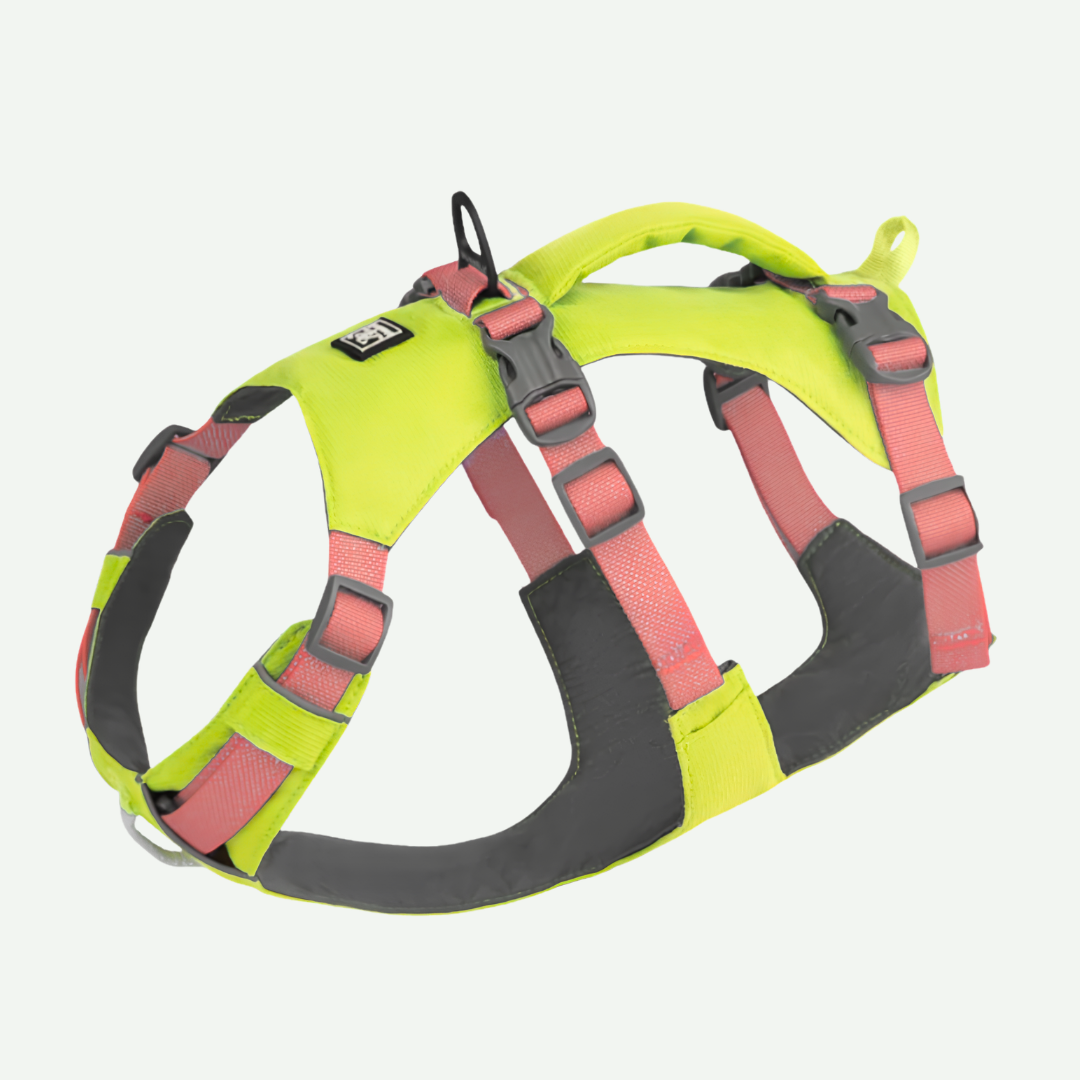 Arnés Antiescape y Antitirón ergonómico - Nunbell
