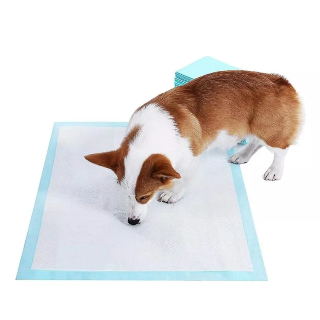 Sabanillas de Entrenamiento para Perros Paquete 8Uds