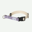 Collar Safe para perros - Hidream