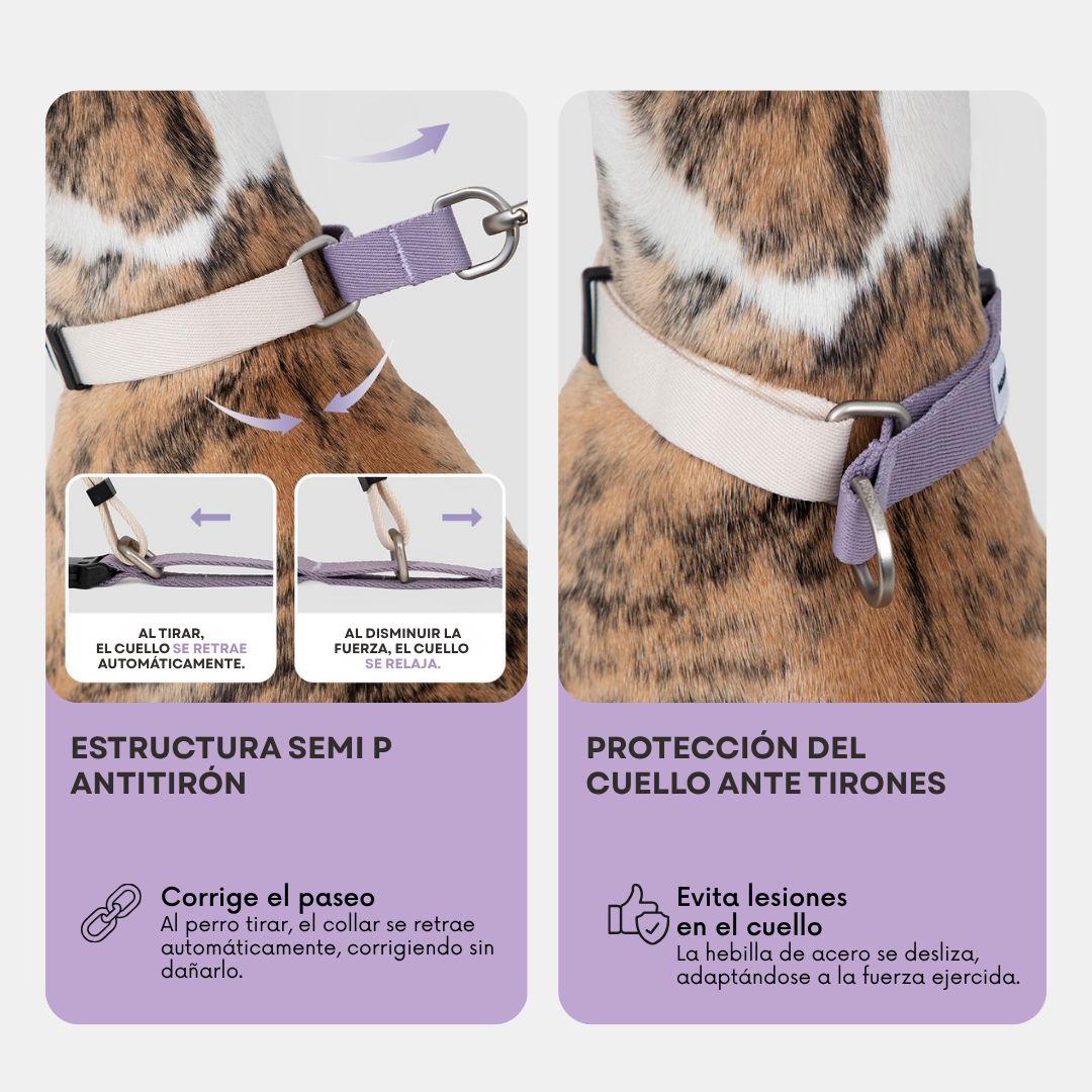 Collar Safe para perros - Hidream