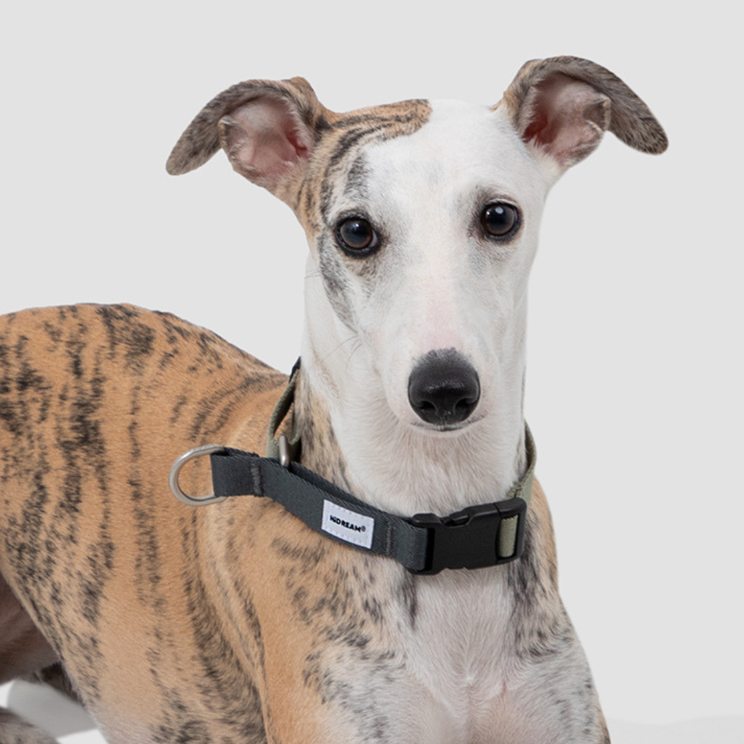 Collar Safe para perros - Hidream