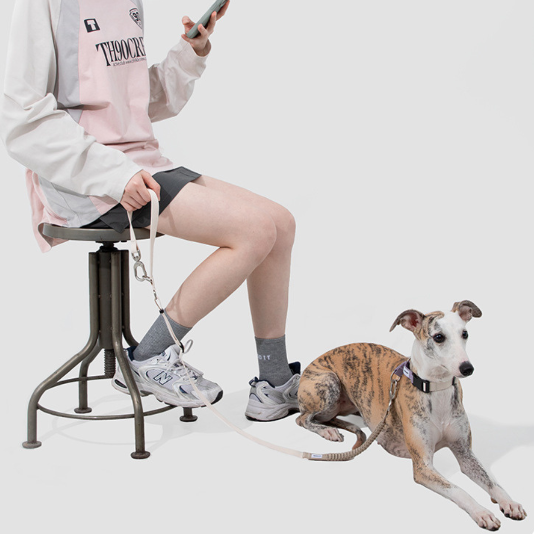 Collar Safe para perros - Hidream